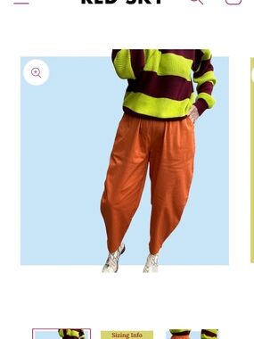 Bold Rust OrangePants